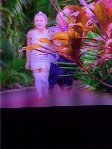 Sorry for the dreadful pic. MKR has yet to upload the episode to yahoo. Actually, the outfit looks better blurry.